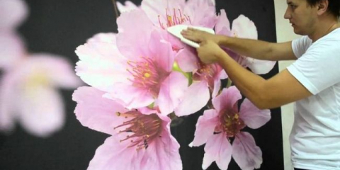 Jak odstranit lepidlo z tapety